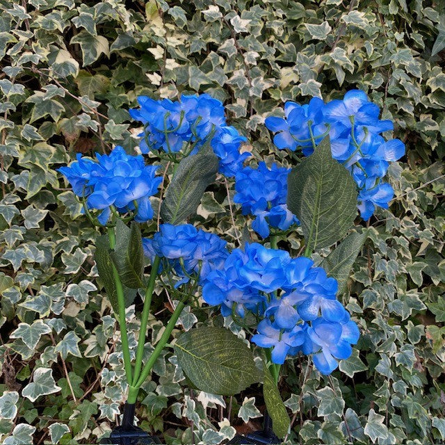 Conzept Solarblume Hortensie 70x45 cm 2 Stück.