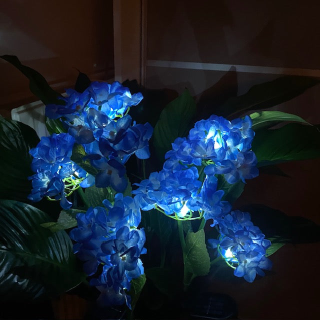 Conzept Solarblume Hortensie 70x45 cm 2 Stück.