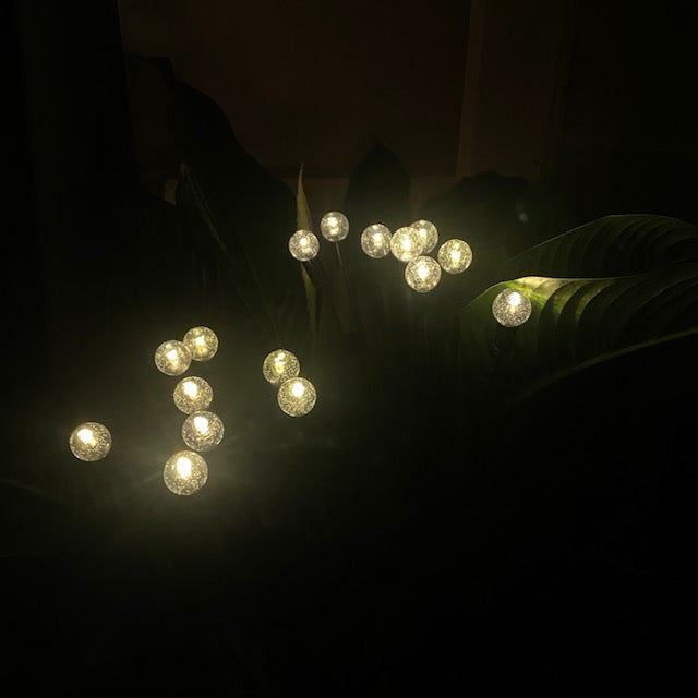 Conzept Solar-Glühwürmchen 8 LED 66,5 cm 2 Stück.